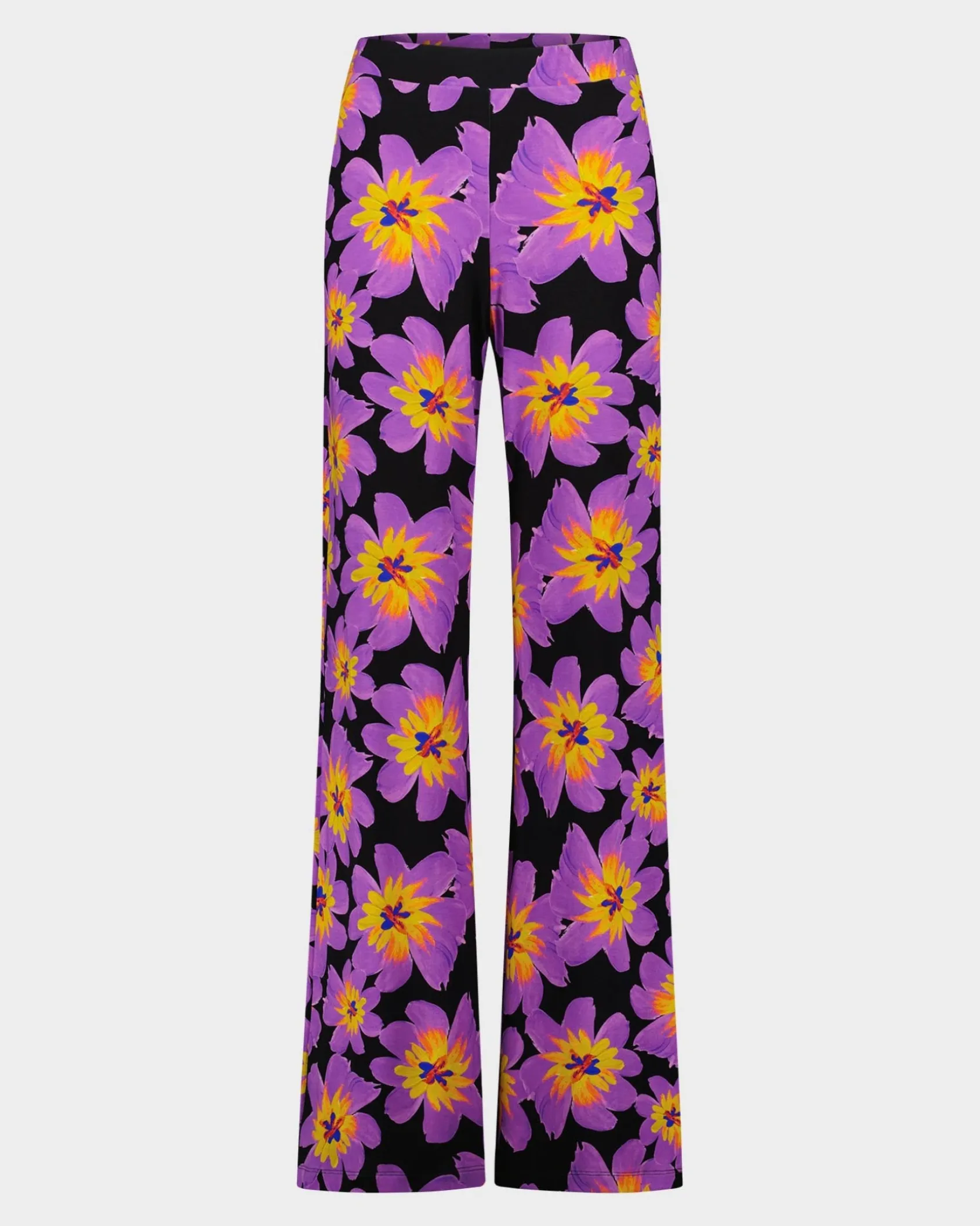 josh_palazzo__purple_0.webp Shop STIEGLITZ Josh Palazzo | Purple