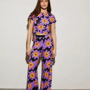 Shop STIEGLITZ Josh Palazzo | Purple