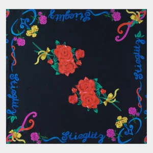 Shop STIEGLITZ Perla Scarf Top | Black